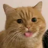 modeodunda12