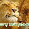 tejloxpahitejib