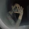 𝐇𝐢𝐩𝐩