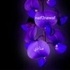 naif2nawaf
