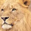 bahati.cu