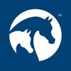 Arabian Horse Association