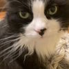 floofymcflooferson
