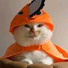lilooov1