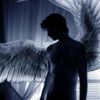 shadowrose696