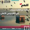 hebaessam759