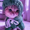 meiggzzz
