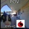 nose_pero265265