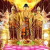 tran.nguyen8783