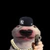 seancentral_
