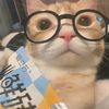 finsweet.h