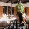 denotomongcai