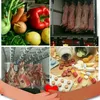 frigoatlas