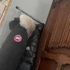 lb_.67