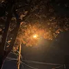 vjktk200