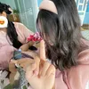 lphuong_.pcy