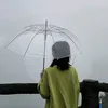 nguyenhoai02110