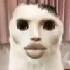 fananhronaldo77