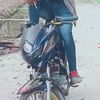 arvanipanz1