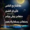 mohammednajimasoud