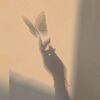 elll_0777