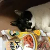 p__one__q