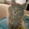 lenochka_0160