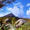 ssno_77