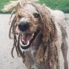 duffy_dad_to_3