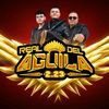 realdelaguila223