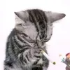 notlookinggdbruvv1