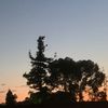lizilizi991