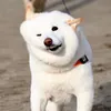 栗田勇輝