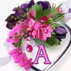 user3124738055181