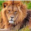 fahad92048