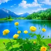 abcdefghijk886