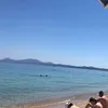 michelaquartoo