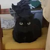 vykintator