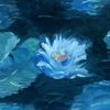 blue_ghost19