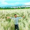 alomgir..kobir