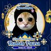 dhafiyah_packing