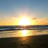 gracielagodoyg.g