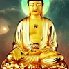longtamvong0