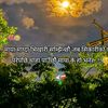 rajalon29