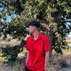 _osmanxll