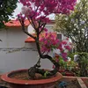 nhi_7288