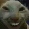 userliq7mrzofu
