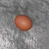 on_egg