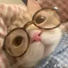 lh__209