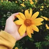 wawwqqj2